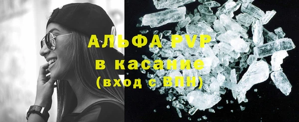 прущие крисы Белокуриха